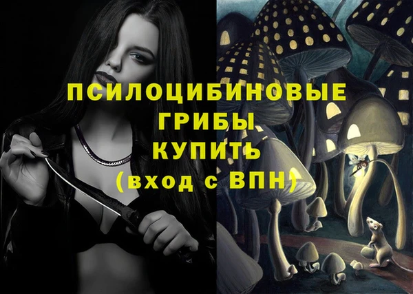 кокс Абаза
