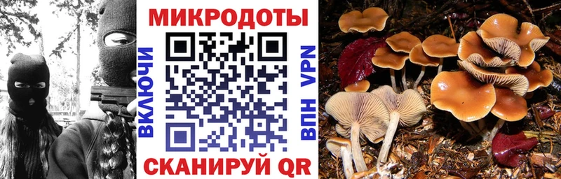 Псилоцибиновые грибы Psilocybe  даркнет сайт  Оханск 